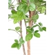 Hêtre artificiel Grandifolia
