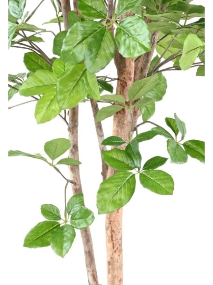 Hêtre artificiel Grandifolia
