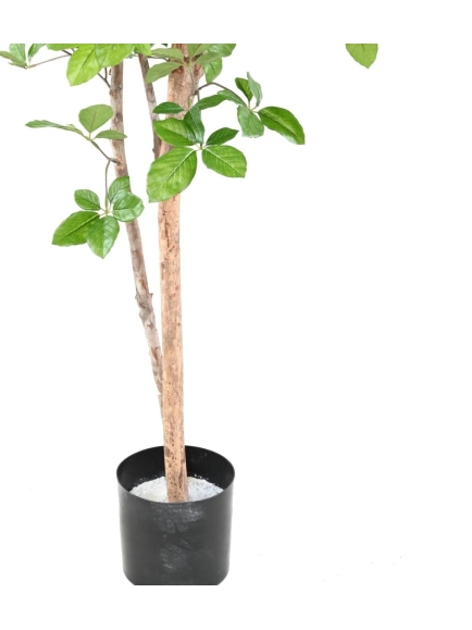 Hêtre artificiel Grandifolia