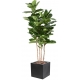 Ficus artificiel Lyrata plus bac carr&eacute; 40 Noir