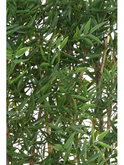 Haie de BAMBOUS Japanese artificiel avec sa jardinière