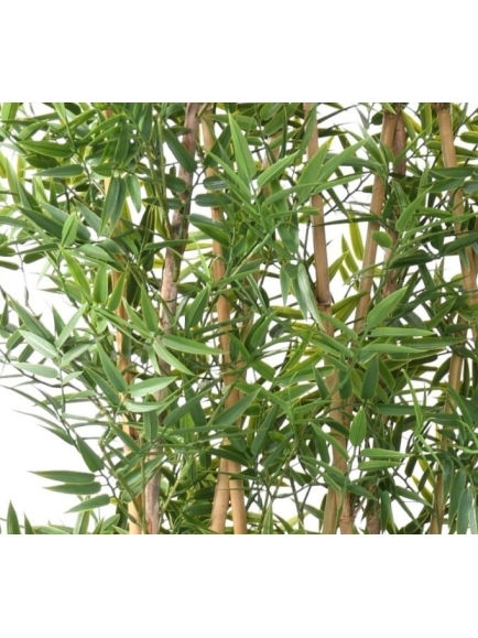 Haie de BAMBOUS Japanese artificiel avec sa jardinière