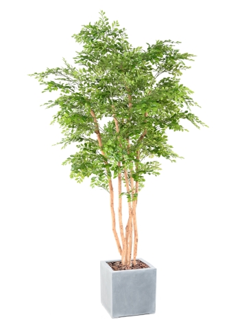 Acacia artificiel plus son bac fiber carré