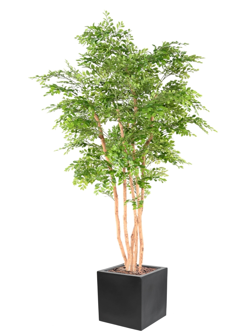 Acacia artificiel plus son bac fiber carré