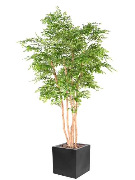 Acacia artificiel plus son bac fiber carré