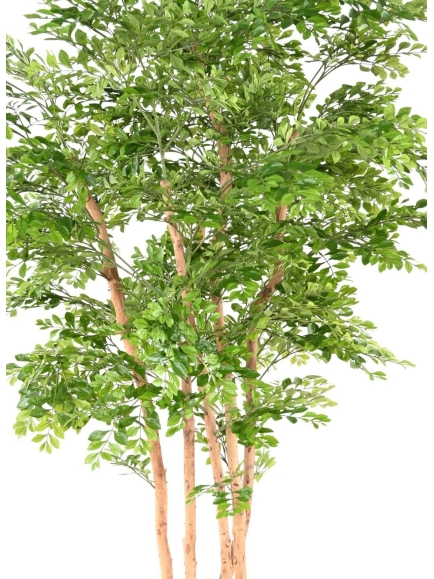 Acacia artificiel plus son bac fiber carré