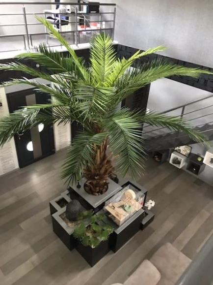 Palmier artificiel CANARIE