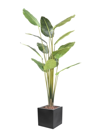 Travellers palmes artificiel plus son bac fiber carré