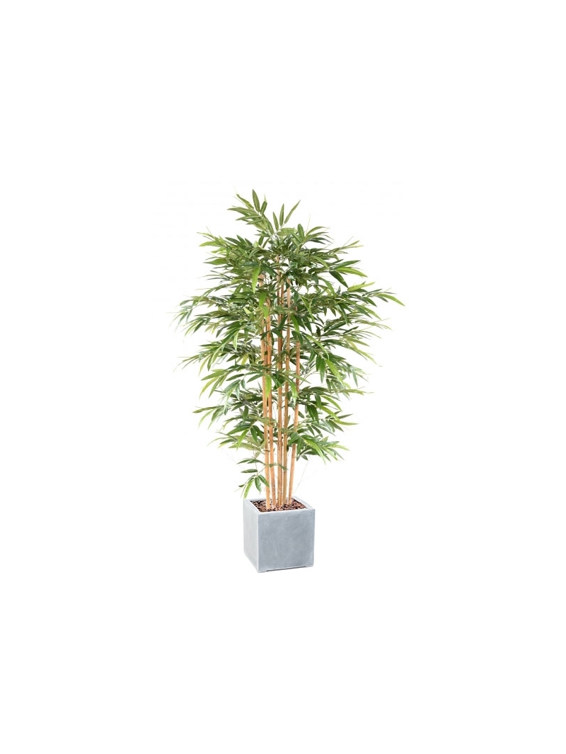 Bambou artificiel Eco plus son bac