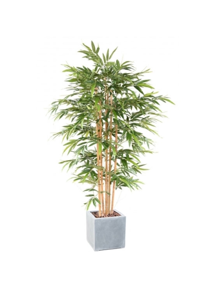 Bambou artificiel Eco plus son bac