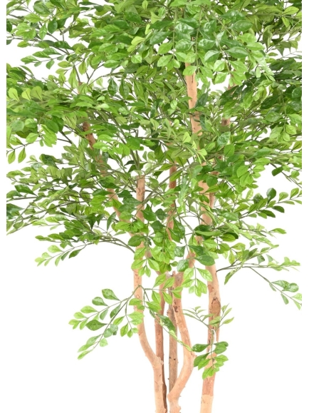 Acacia artificiel plus son pot carré