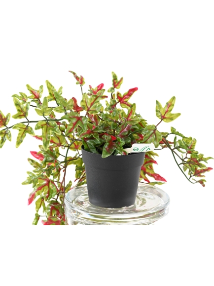 Lierre chute artificiel en pot