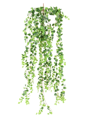 Chute Pothos artificiel 200 cm
