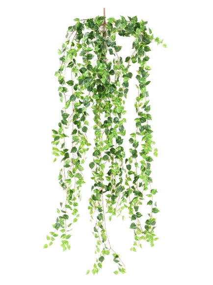 Chute Pothos artificiel 200 cm