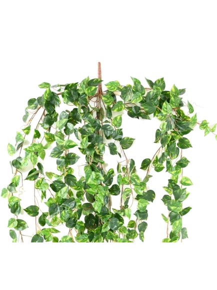 Chute Pothos artificiel 200 cm