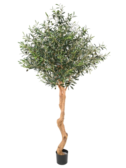 Olivier artificiel 2 troncs - 200 cm