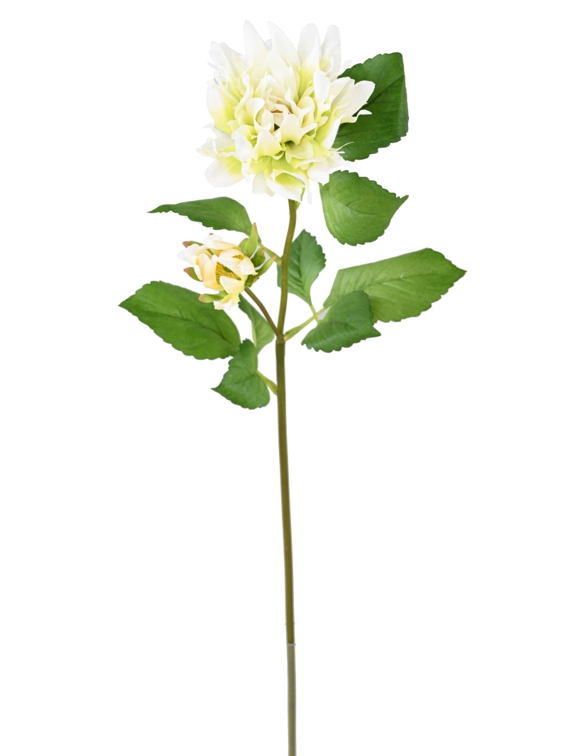 Dahlia artificiel