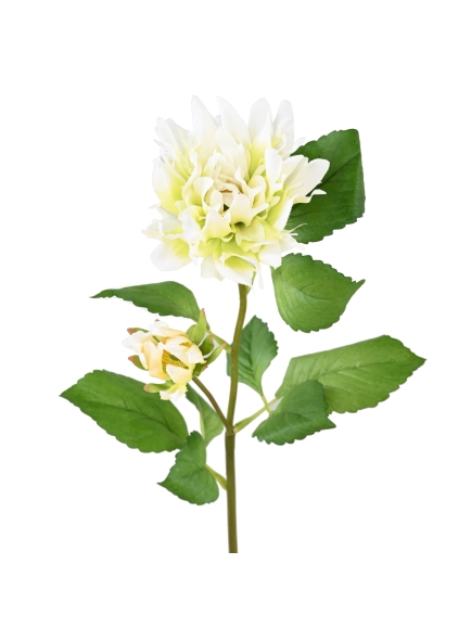 Dahlia artificiel