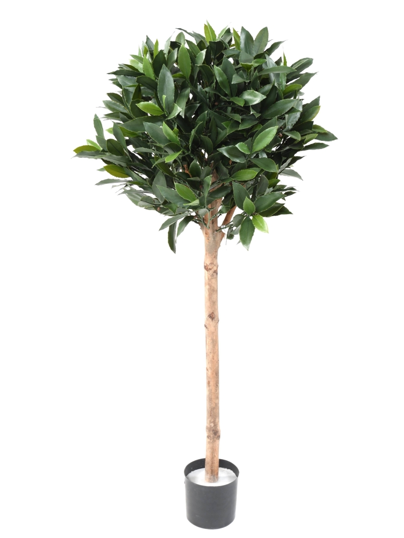 Laurier Tige UV 140 cm artificiel