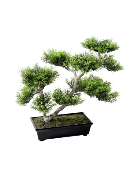 Bonsaï artificiel PIN UV