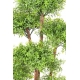 Arbre Eucalyptus artificiel Tree