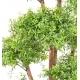 Arbre Eucalyptus artificiel Tree