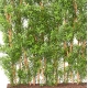 Haie artificielle Eucalyptus Tronc bois