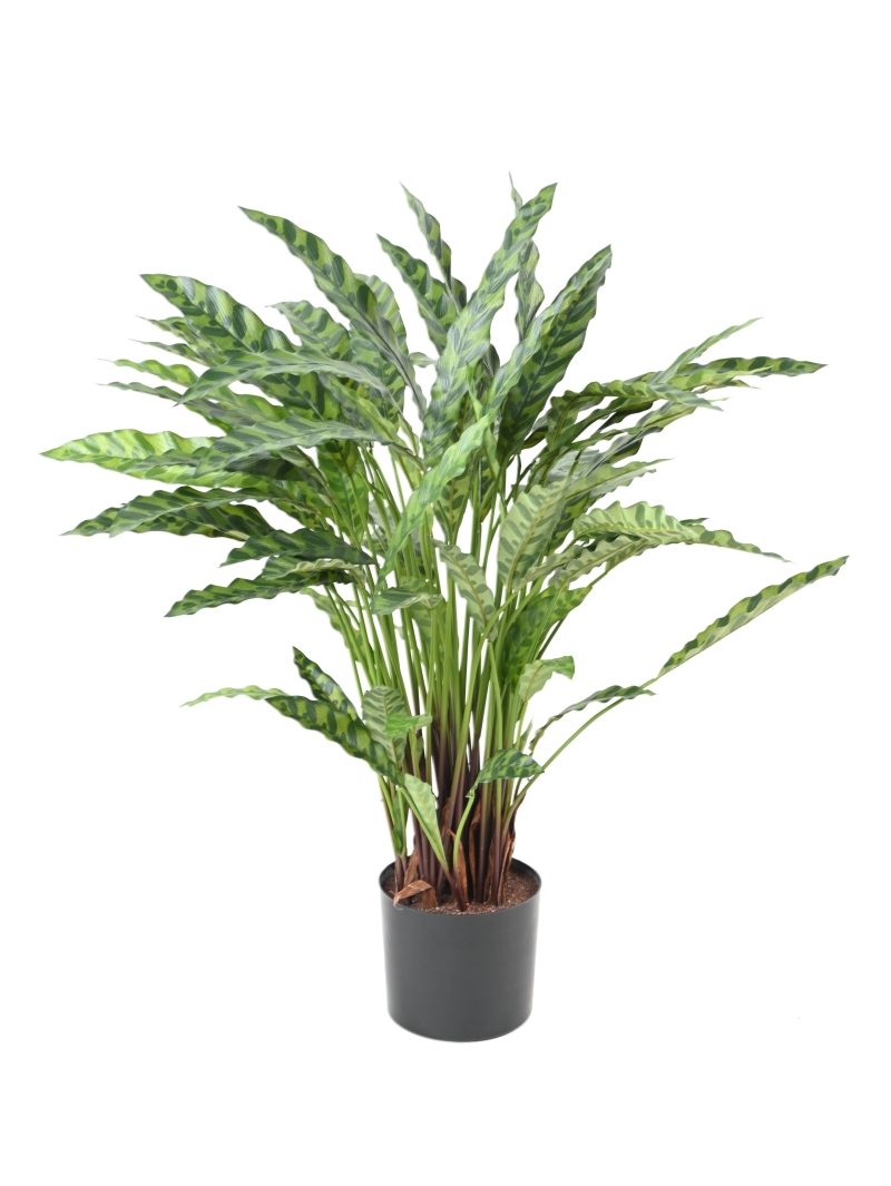 Calathéa artificiel 90 cm