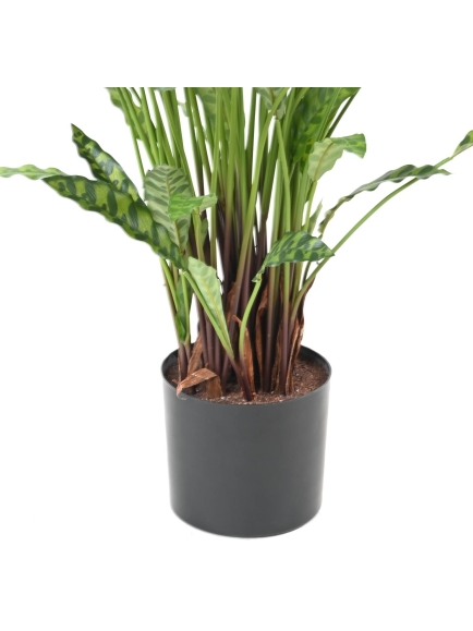 Calathéa artificiel 90 cm