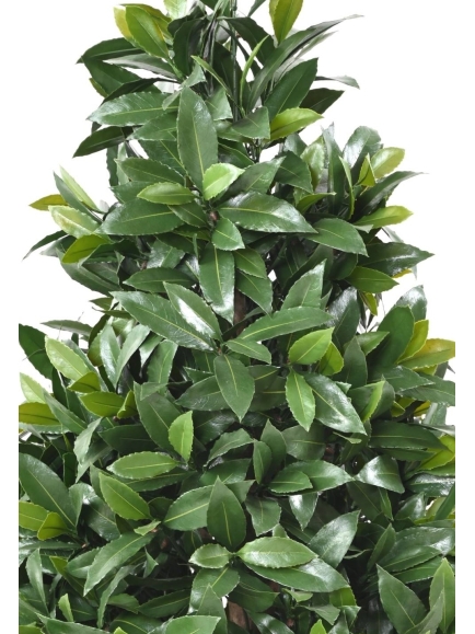 Laurier artificiel Nobilis large en cône