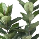 Ficus artificiel (Caoutchouc - Rubber plant) 3 troncs