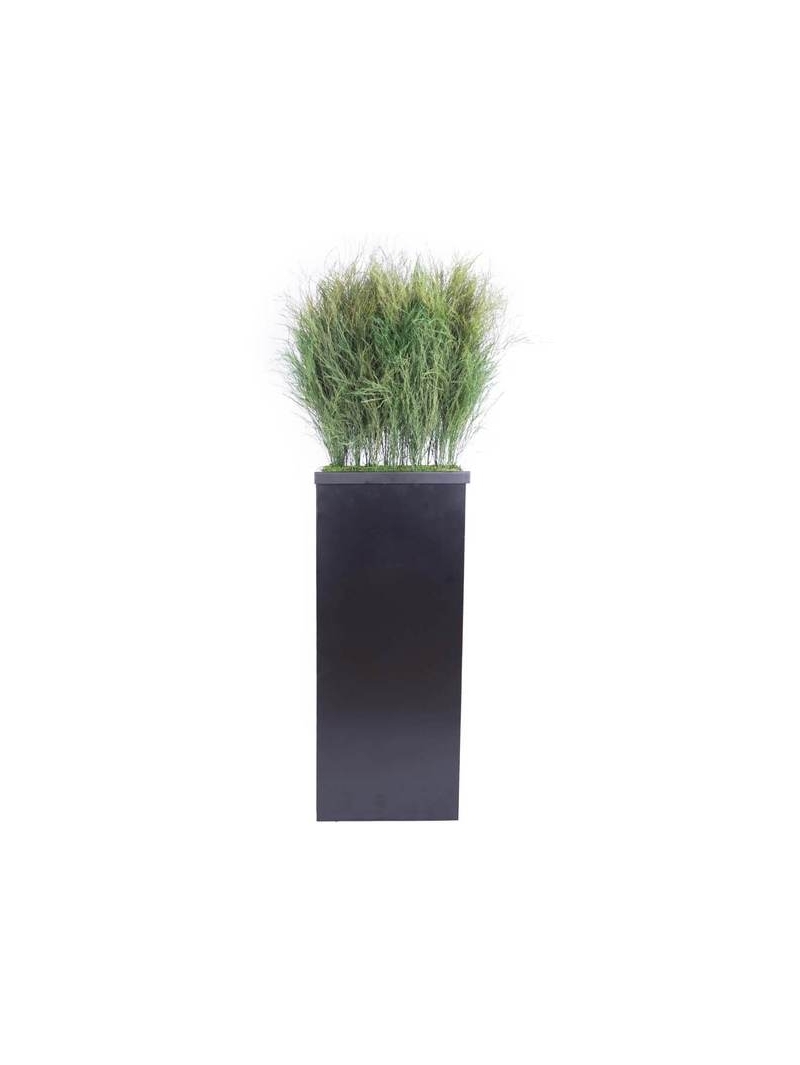 Composition Bac avec plantes STABILISEES Tiki
