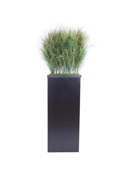 Composition Bac avec plantes STABILISEES Tiki