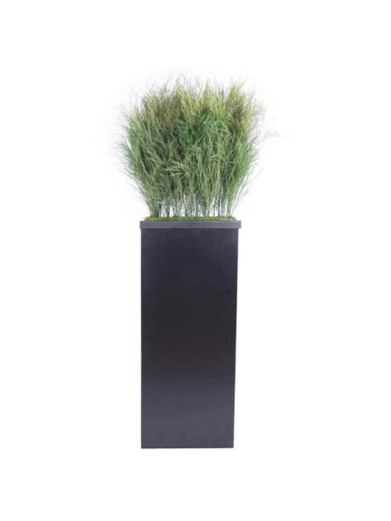 Composition Bac avec plantes STABILISEES Tiki