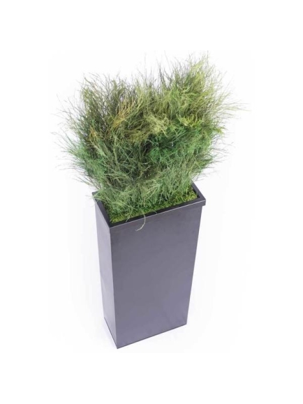 Composition Bac avec plantes STABILISEES Tiki