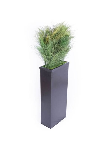 Composition Bac avec plantes STABILISEES Tiki