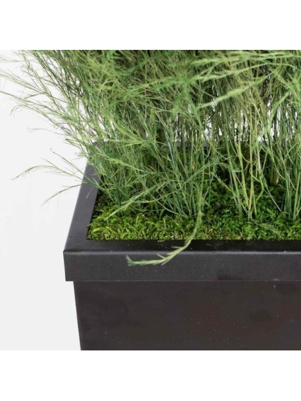 Composition Bac avec plantes STABILISEES Tiki