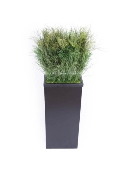 Composition Bac avec plantes STABILISEES Tiki
