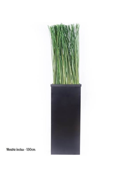 Composition Bac avec plantes STABILISEES Gynérium 130 CM