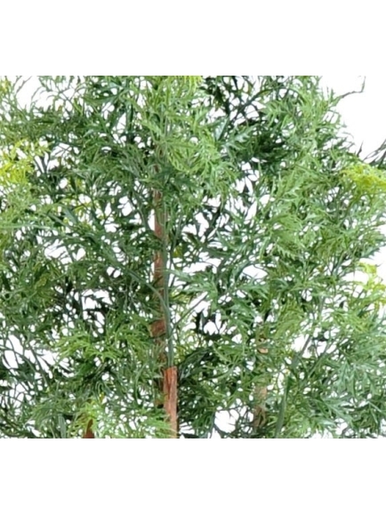 ARALIA ARTIFICIEL NITIDA 180 CM