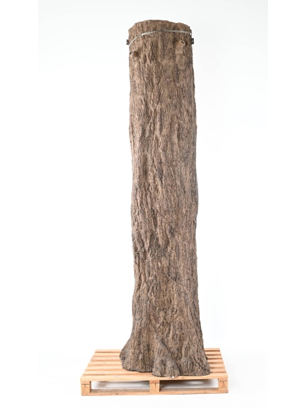 Ficus Géant artificiel - Tronc 2 parties (cache poteau)