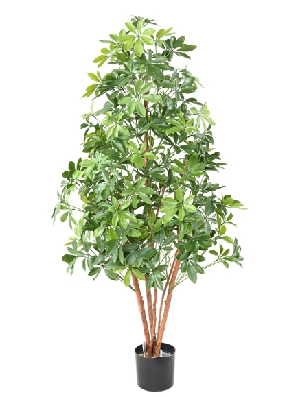 Arbre artificiel CHOISYA