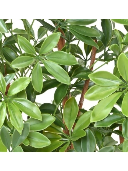 Arbre artificiel CHOISYA