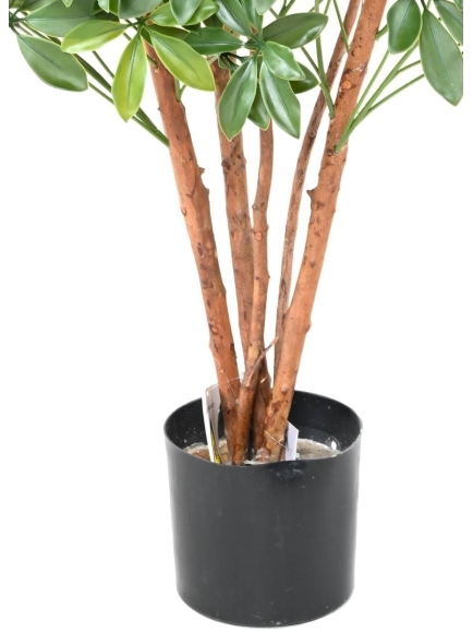 Arbre artificiel CHOISYA