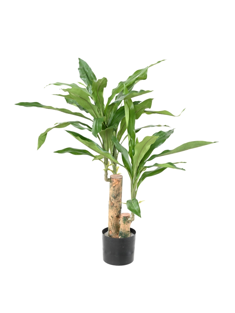 DRACAENA ARTIFICIEL FRAGRANS STUD