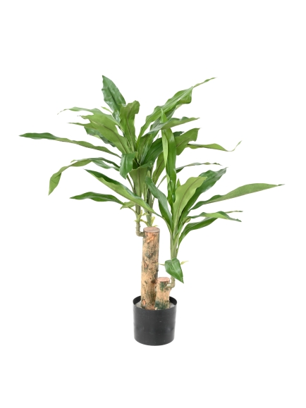 DRACAENA ARTIFICIEL FRAGRANS STUD