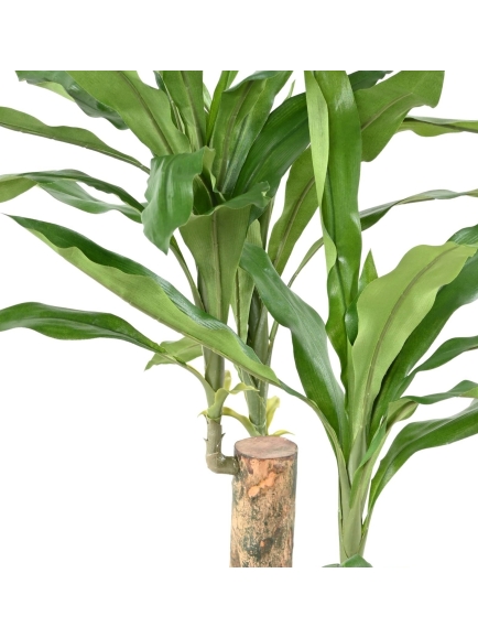 DRACAENA ARTIFICIEL FRAGRANS STUD