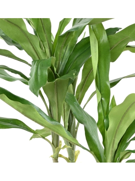 DRACAENA ARTIFICIEL FRAGRANS STUD