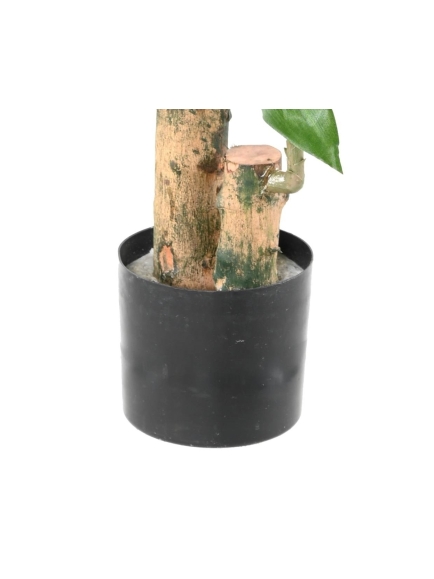 DRACAENA ARTIFICIEL FRAGRANS STUD