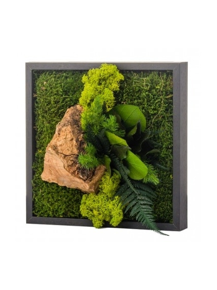 Tableau végétal stabilisé CANOPE MONO